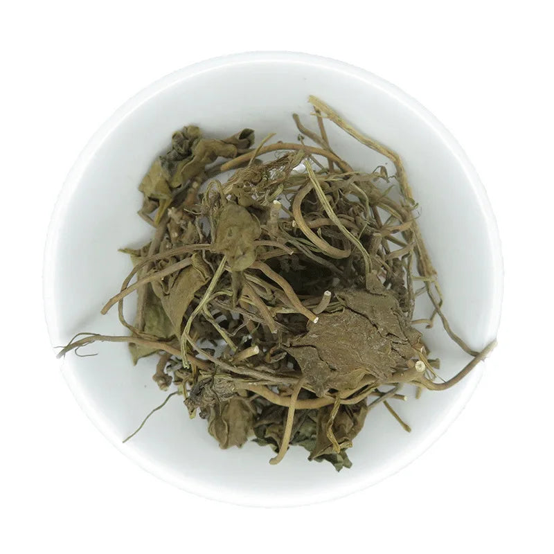 Du Heng Fragrant Asarum ROOT Herb Raw Dried Asarum Forbesii Plants for Selling