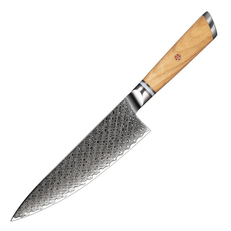 Grandsharp Professional 8" Inch Japanese 67 Layers Damascus Steel Kitchen Knife Chef Knife With Resin and Oliver Wood Handle