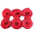 Wholesale Real Touch Dried Hydrangea and Natural Roses Flowers with Stem for Wedding & Christmas Decorations Gift Box