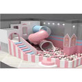 Hanlin Design Soft Play Rides Indoor Playground for Kids and Adults Franchise Opportunity