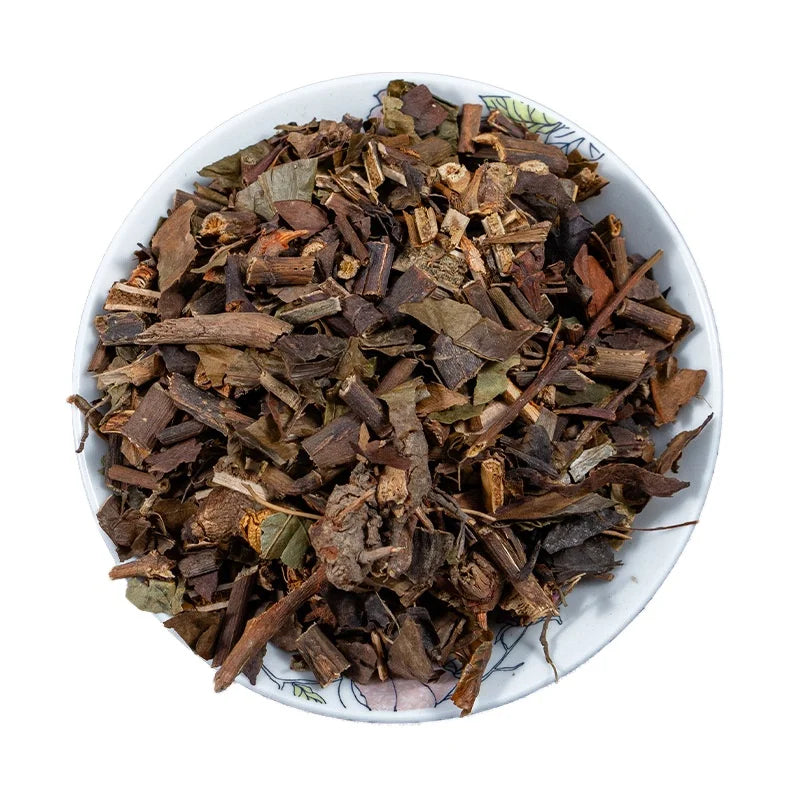Zhongjiefeng Wild Pure New Crops Glabrous Sarcandra Herb Sarcandra Glabra Stems Leaf Cuts for Sale