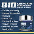 Best Night Cream for Face Paraben-Free Moisturizer Rejuvenate and Hyaluronic Acid Coenzyme Q10 Face Brightening Cream