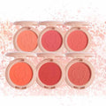 SANIYE High Quality Low MOQ Long Lasting Waterproof  6 Colors Makeup Blusher