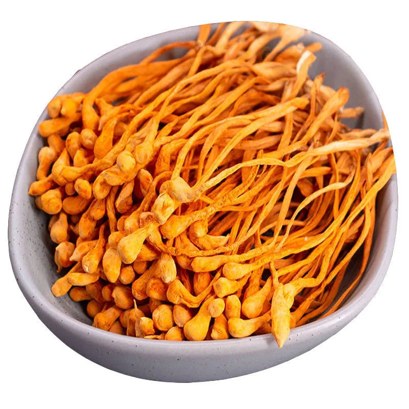 Yong Chong Cao China Cordyceps Medicinal Mushrooms Natural Edible Dried Cordyceps Militaris Mushroom for Sale
