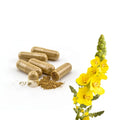 Factory OEM Organic Mullein Leaf Extract Organic Mullein Leaf Capsules for Lung Detox