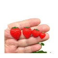 Multi Shape Half Strawberry Resin Fruit Charms Kawaii Cabochon Fit Sweet Girls Hair Rope Hair Clips Making Supplies