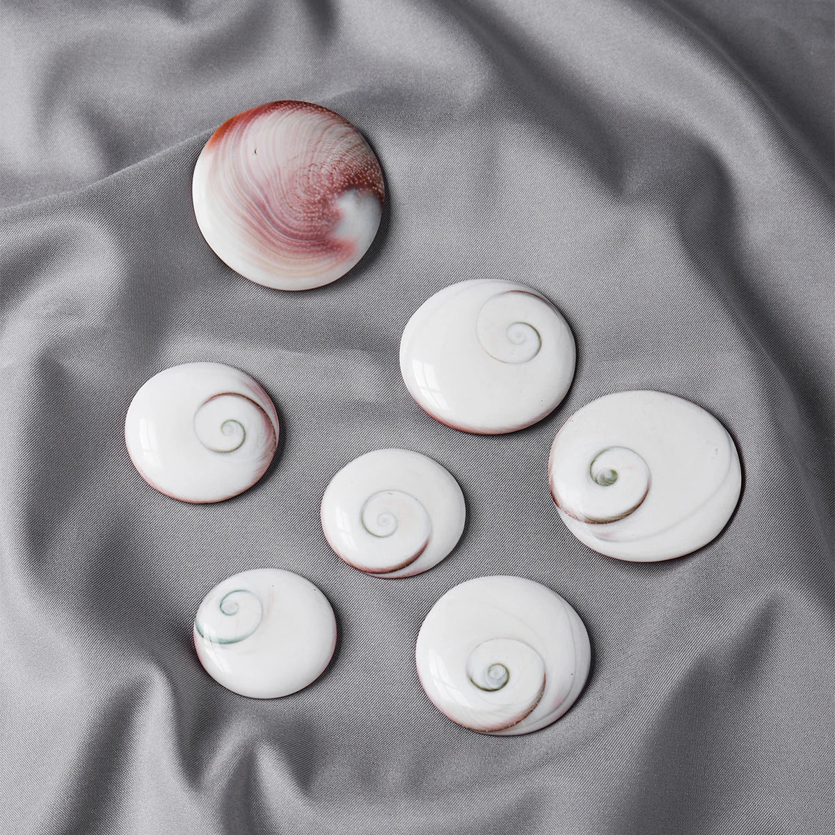 High Quality Natural Healing Crystal Polished Sun Shell Stone Round Circle for Meditation