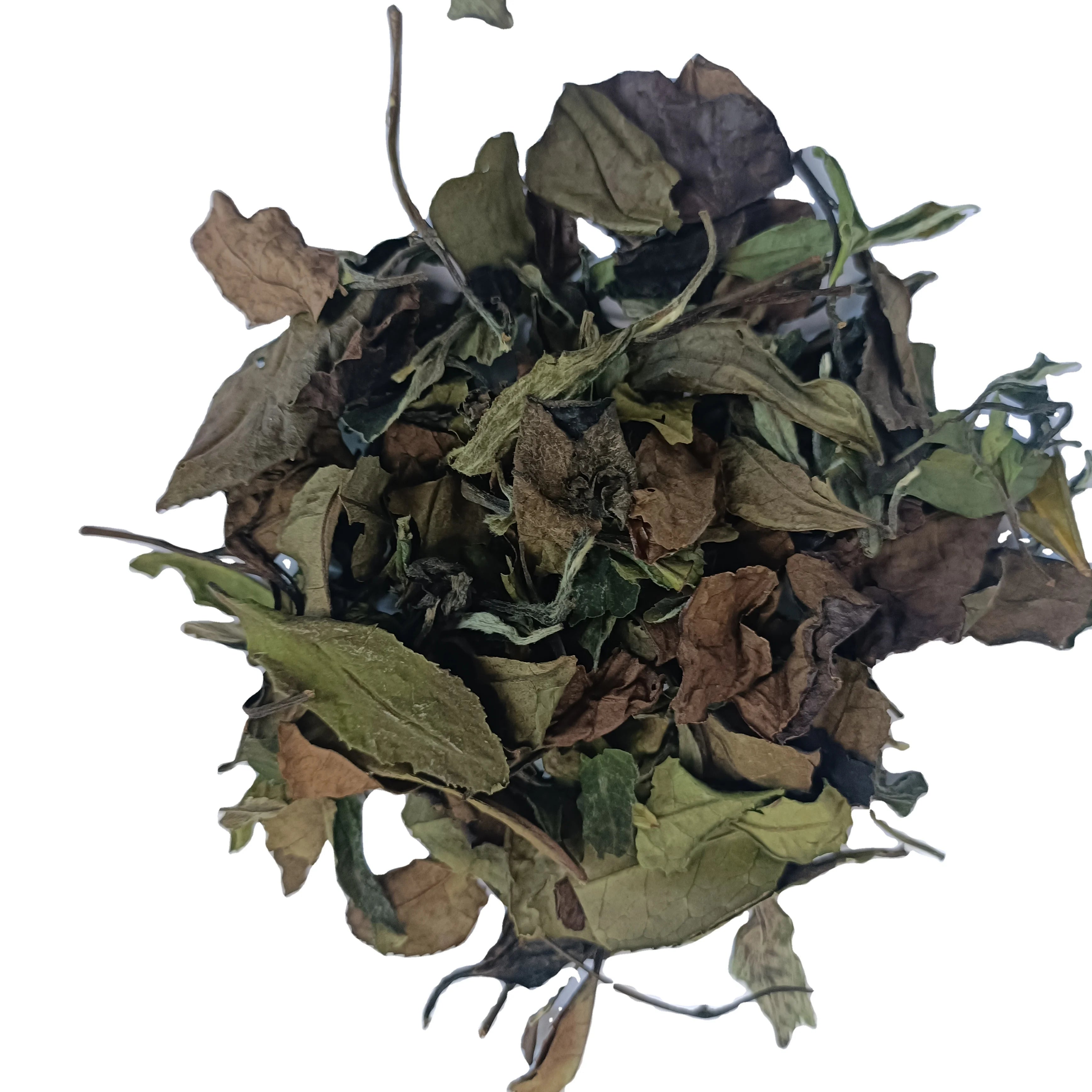 Online Best Service Peony Bulk White Tea Body Wash for Health