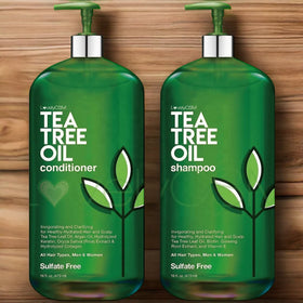 OEM Anti Hair Loss Treatment Clear Aloe Peppermint Natural Organic Hair Salon Green Tea Tree Oil Control Shampoo and Conditioner