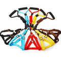 Wholesale Dog Harness Set Pet Harness and Leash Plain Color Foam Handle Nylon Pet Harness and Leash