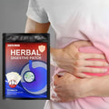 OEM South Moon Herbal Digestive Patch 12pcs Abdominal Pain Bloating Indigestion Damp Heat Treatment Patches