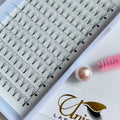 Factory Price Korean Silk Faux Mink 0.07 0.10mm Premade 3d 4d 5d 6d Lashes Premade Volume Eyelash Extension