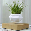 Levitating Rotation Plant Magnetic Floating Plant air Bonsai Flower Pot Display Racks for Decoration Gift
