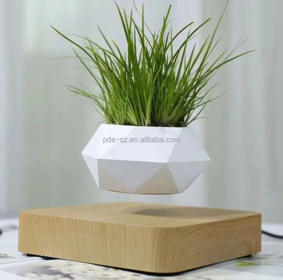 Levitating Rotation Plant Magnetic Floating Plant air Bonsai Flower Pot Display Racks for Decoration Gift