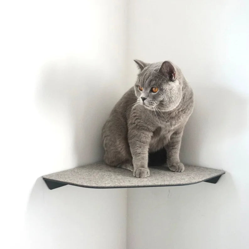 Factory Price Steel Big Cat Shelves Perches Metal Wall Cat Climbing Shelf Heavy Duty Cat Scratching Post Wall Shelf Bracket