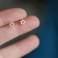 2025 Popular Jewelry RTE308 S925 Women Gold Star Earrings for Birth Gifts