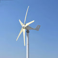 Poland Warehouse Stock Wind Turbine Controller 600w 48v Renewable Energy Wind Turbines for Sale