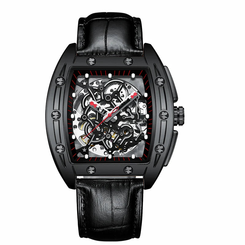New Brand AILANG Watch Men's Mechanical Luxury Automatic Classic Fashion Male Wrist Watch Waterproof Luxus Clock Relogio
