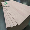 12mm 15mm 19mm 21mm Container Wardrobe Okouma Plywood Board