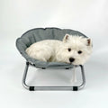 Elevated Folding Dog Bed Indoor Outdoor Pet Camping Raised Cot for Small Dogs