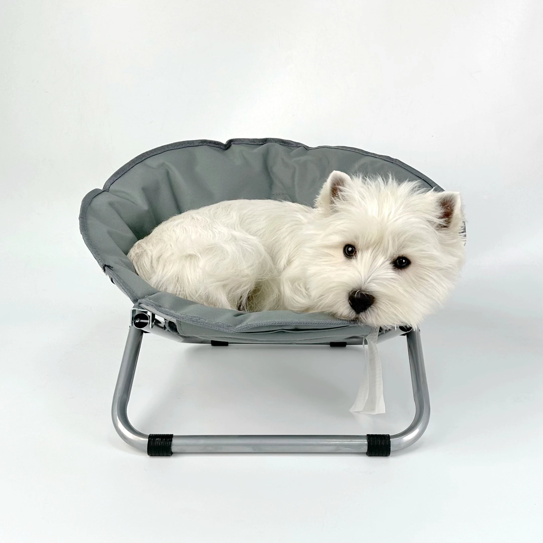 Elevated Folding Dog Bed Indoor Outdoor Pet Camping Raised Cot for Small Dogs