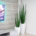 New Style T-0427 Artificial Faux Live Indoor Easy Care Potted Snake Plant