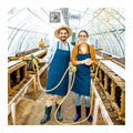 Large Agriculture Greenhouse Single Arch PE Film Single-span Tunnel Snail Farming Greenhouse Hot Galvanized Steel Frame Sides