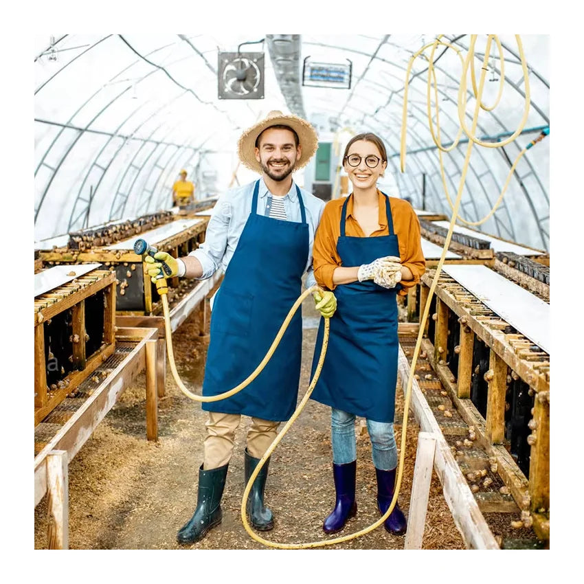 Large Agriculture Greenhouse Single Arch PE Film Single-span Tunnel Snail Farming Greenhouse Hot Galvanized Steel Frame Sides