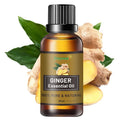 Pure China Ginger Oil for Weight Loss Belly Fat Private Label Pure Organic 100% Pure Ginger Essential Oil for Hair Growt