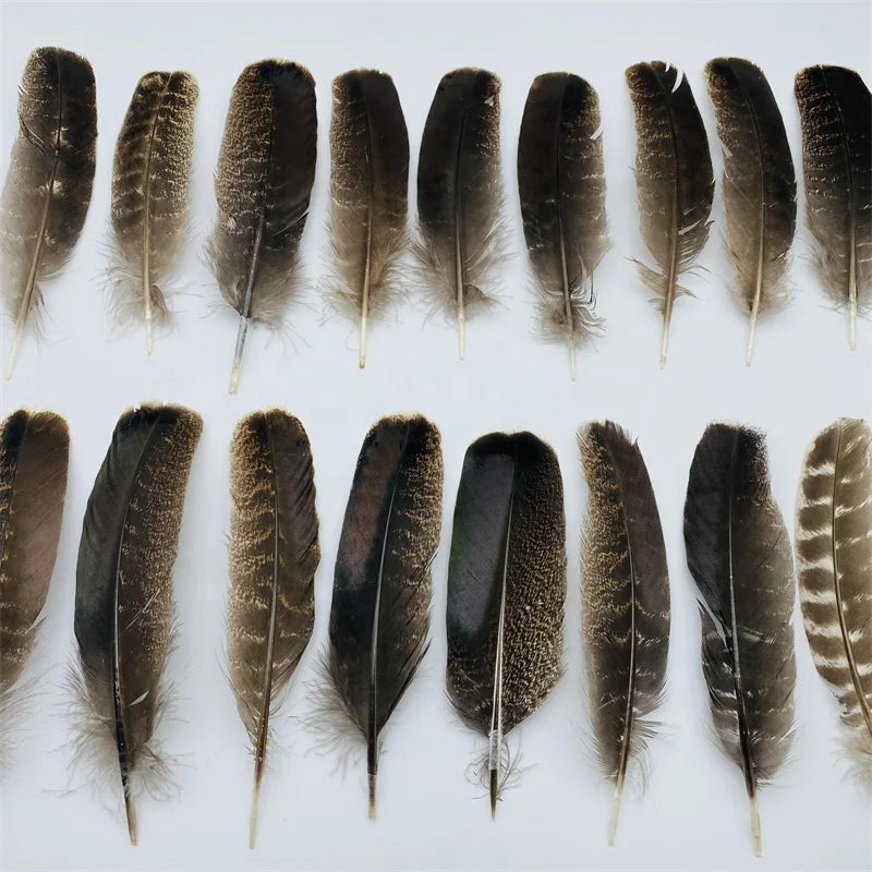 Wholesale Colorful Dyed Turkey Feather Turkey Quill Turkey Feathers Arrow for Decoration