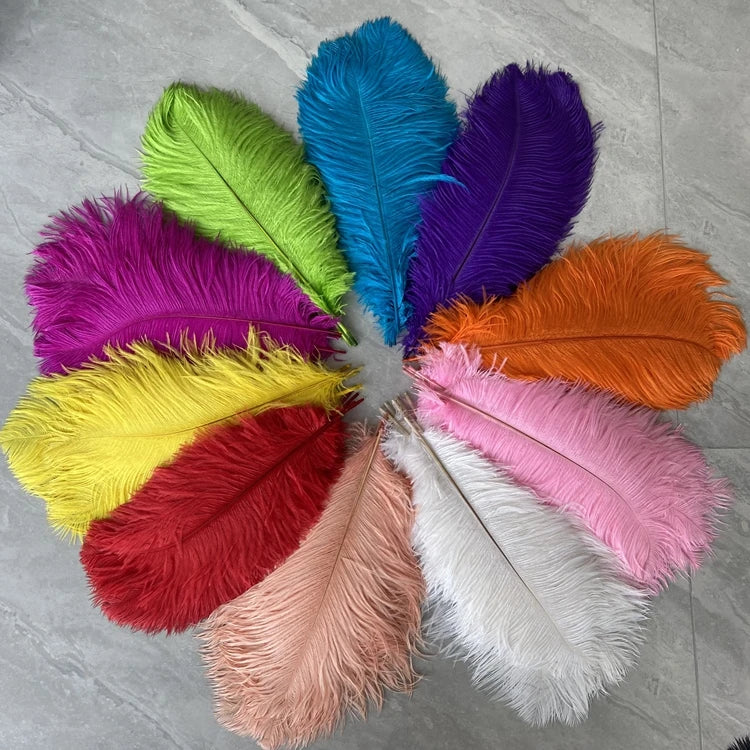 Factory Outlet Best-selling Handcraft 100% Feather 15-20cm Fine-stemmed Ostrich Feathers for Wedding Decoration & Supplies