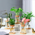 Modern Style Creative Glass Vase for Tabletop Decoration Transparent Water-Raised Green Flower Vase