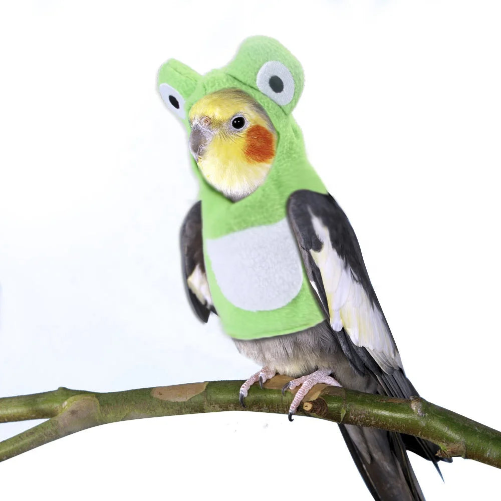 Wholesale Luxury Summer Pet Bird Clothes Cute Frog Cosplay Costume for Pigeon/Cockatiel/Parrot Hoodie