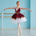 New Girls Ballet Dance Skirt Children's Professional Ballet Costume Performance TUTU Skirt