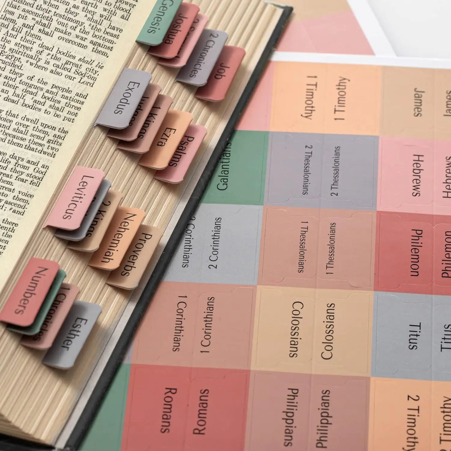 Custom Bible Tabs Dividers for Study Bible Large Print Earth Toned 80 Laminated Bible Tabs