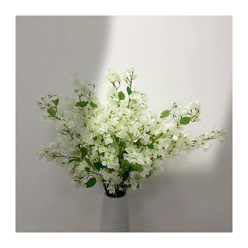 Good Quality New Bougainvillea Large for Easter for School