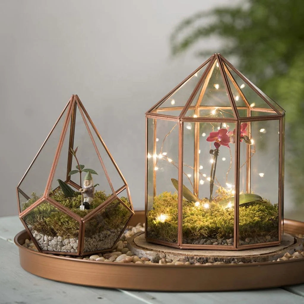 Multi-purpose Glass Geometric Terrarium with Lid for Home Decoration