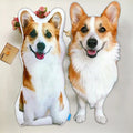 Big Head Pet Pillow 3D Picture Face Pillow Great Gift for Women and Men Decorative and Throw Custom Pet Photo Pillow