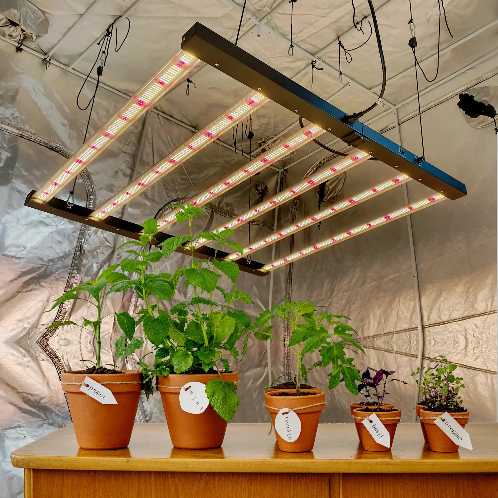 Dropship Samsung 720w Evo 281b 301b 600W 720W Led Grow Light 4x4 5x5 6Bar Planting Light for Indoor Plants Sale