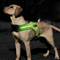 Luminous Led Pet Dog Harness Flash Chest Vest Night Safty Glowing Flashing LED Light up Led Dog Harness for Dog