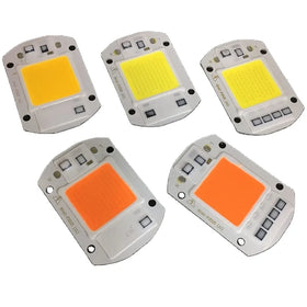 COB LED Lamp Chip AC 220V LED Bulb 10W 20W 30W 50W IP65 High Power Smart IC DIY Flood Light Bulb Spotlight Outdoor Chip Lamp