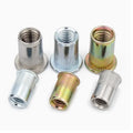 Stainless Steel Rivet Nuts M2