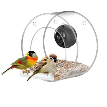 2022 New Automatic Humming Bird Feeder Camera Smart Wifi Feeder with Real-Time Save Function Made of Plastic