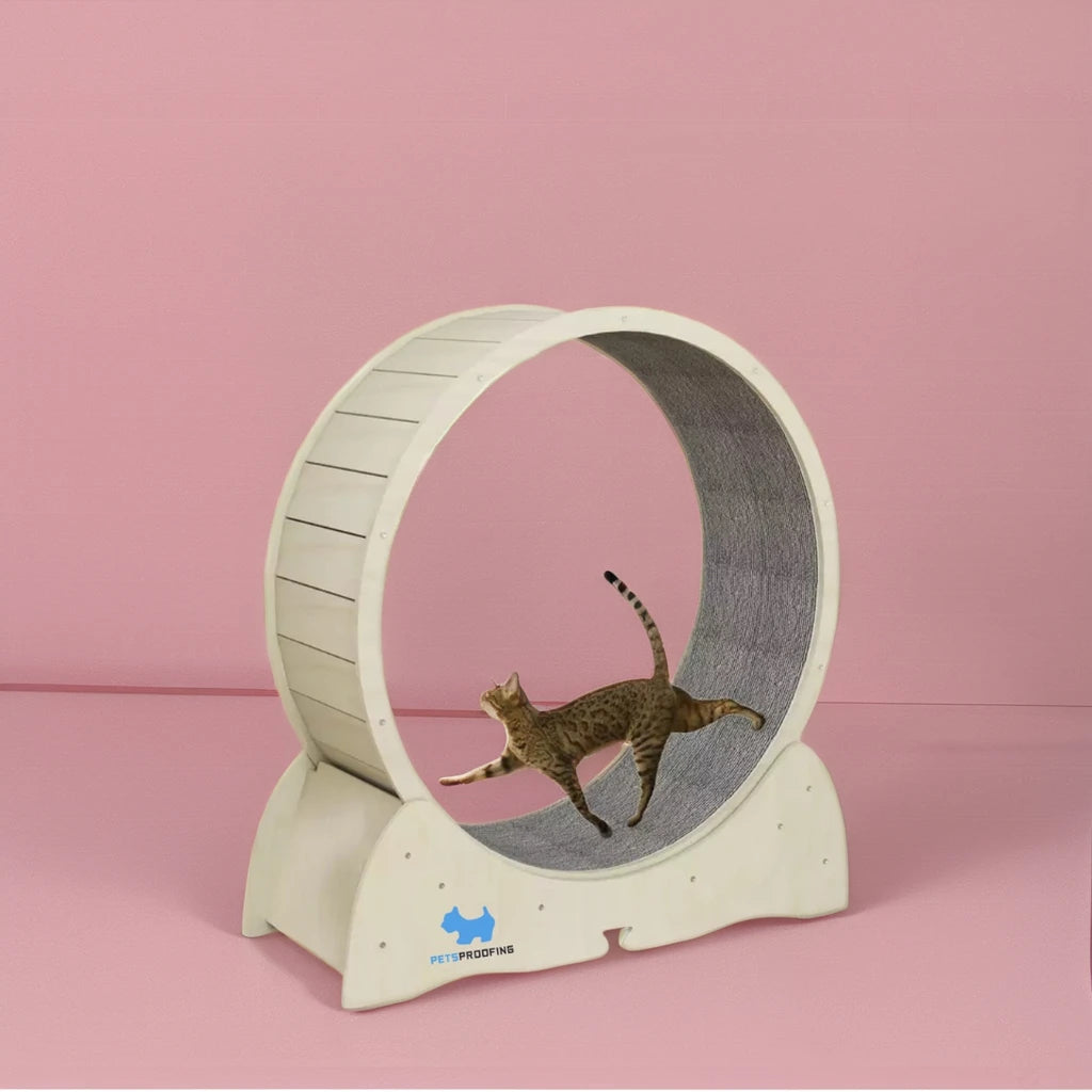 Petsproofing Interactive Anti-Depression Wooden Fiber Board Pet Tread Exercise Running Wheel Funny 5cm Small Treadmill Toy Cats