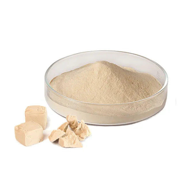 Wholesale Bulk Price with Good Service Food Additives Yeast Powder
