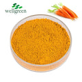 Wellgreen 10% Carrot Extract Water Food Raw Material Solubility Natural Carotene