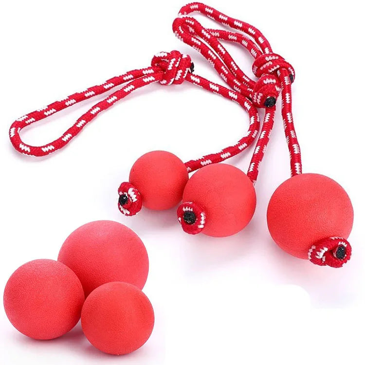 Training Toy Ball Dog Red with Rope