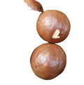 Premium Quality High Grade China New Dried Creamy Whole Raw Macadamia Nuts with Shell Original Fragrant