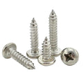China Stainless Steel Bolts Manufacturer Din7981 ISO 7049 Pointed Tail Philip Cross Point Round Pan Head Self Tapping Screw