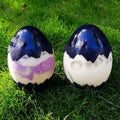 500ml Portable PET Beverage Use Drinking Bottle Cute Egg Shell Oval Shape Screen Printing Screw Cap Sealing HONGZE Brand Free